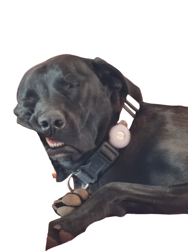 Kira