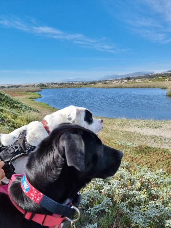 Kira y Kai en la laguna