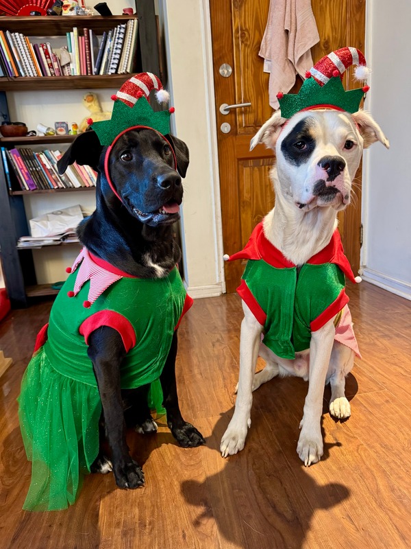 Kira y Kai vestidos