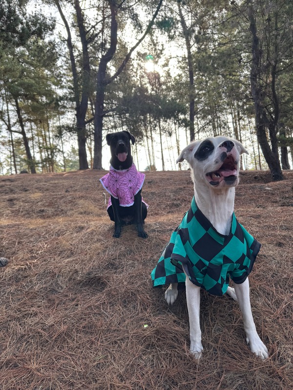 Kira y Kai con outfits
