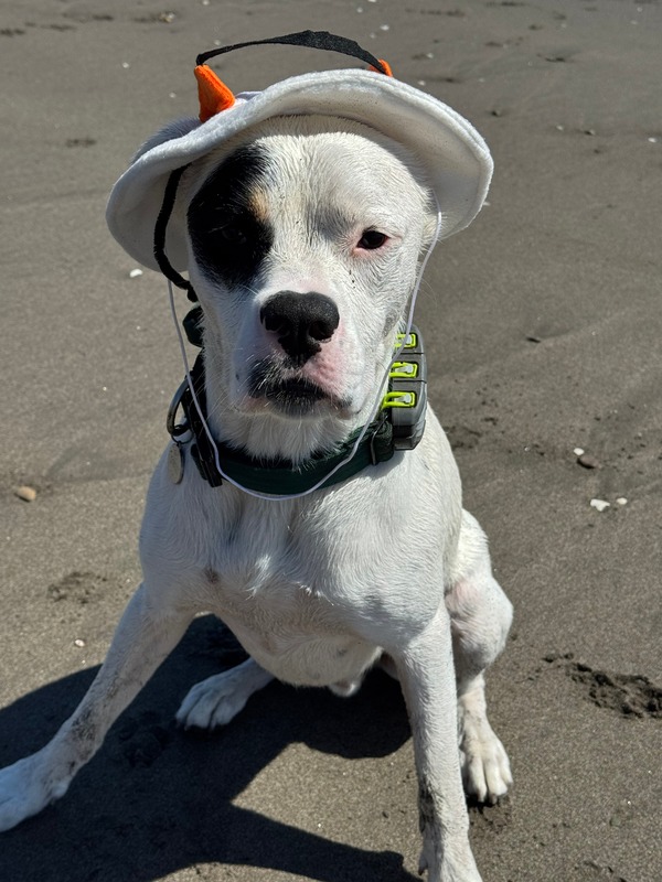 Kai en la playa