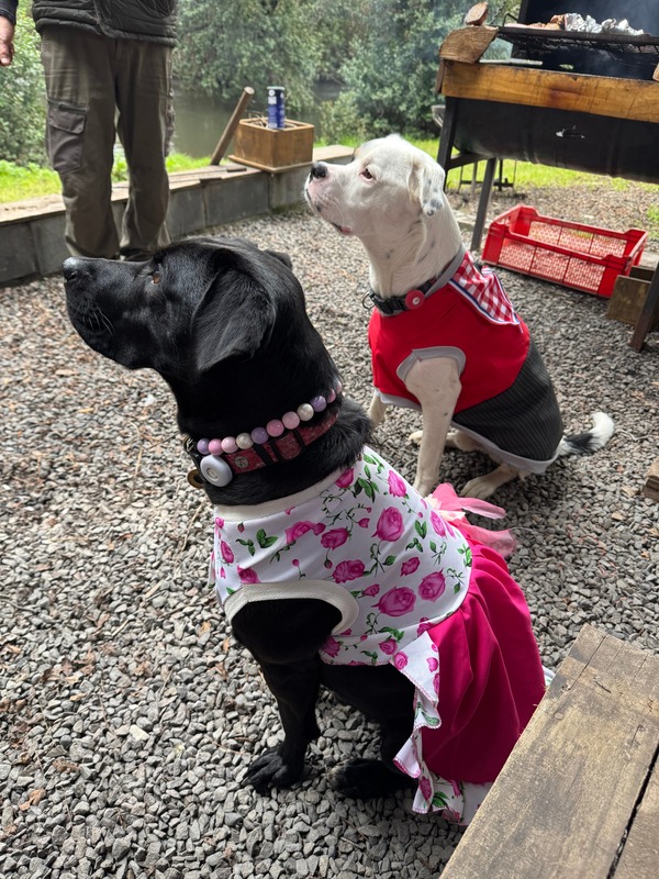 Kira y Kai con outfits