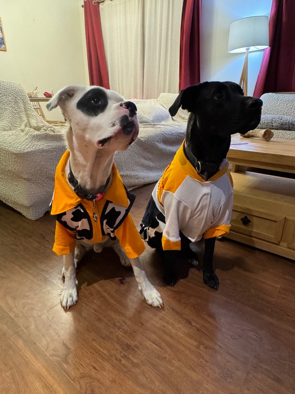 Kira y Kai con outfits